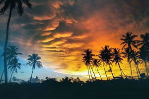 Tropical sky