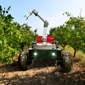 Robot fruit picker